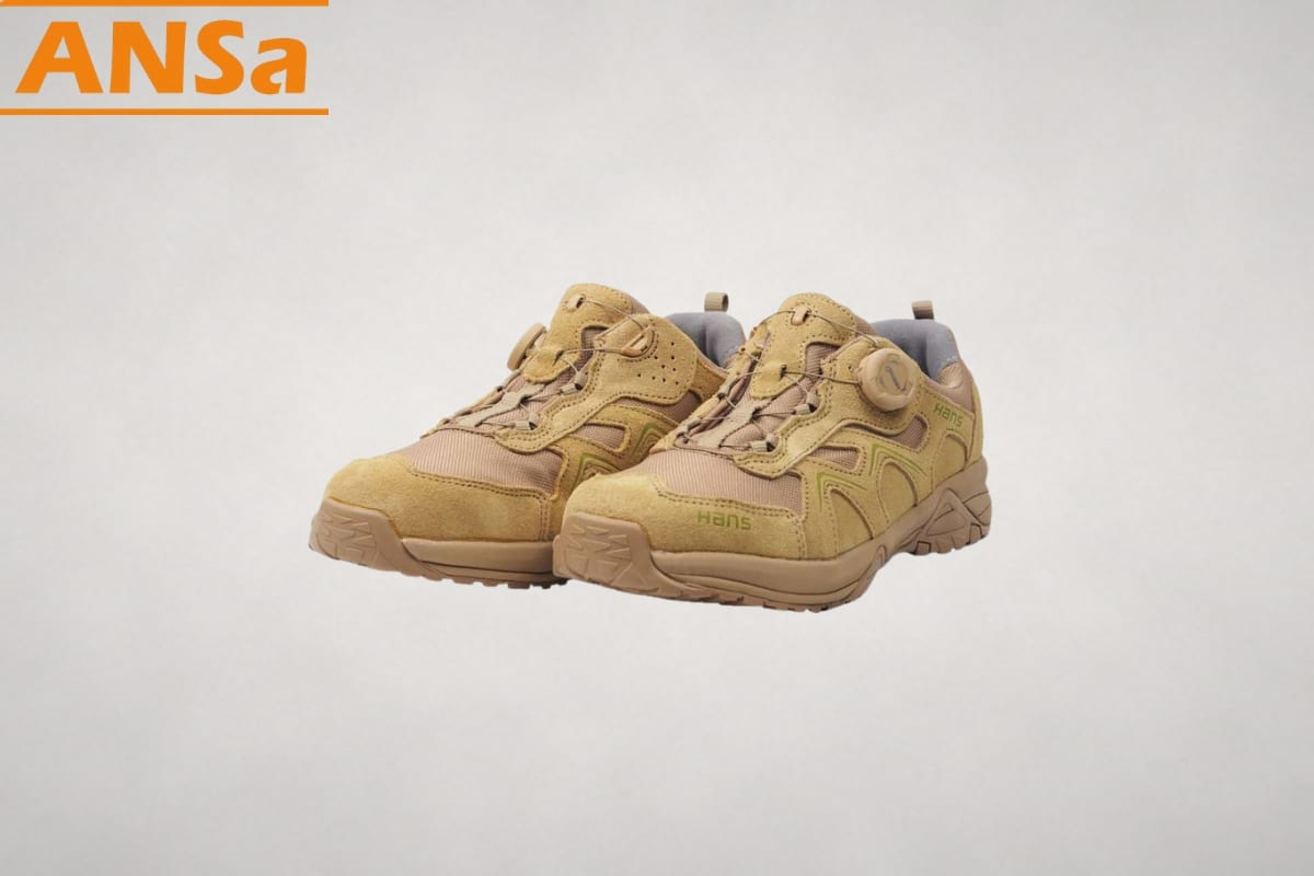 hans-hs-81-camel