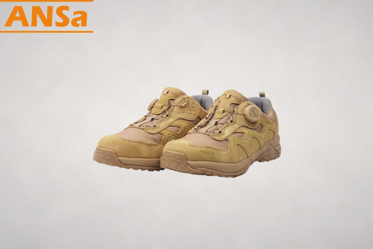 hans-hs-81-camel