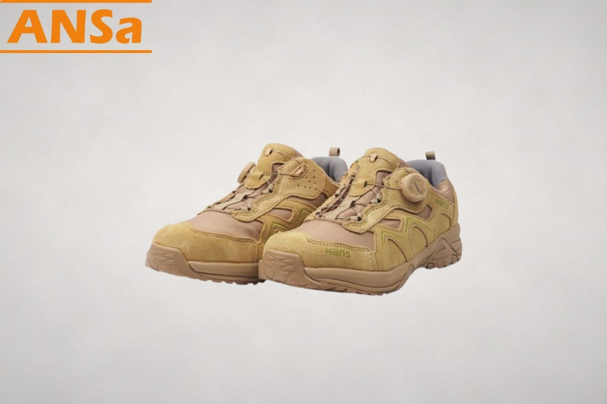 hans-hs-81-camel